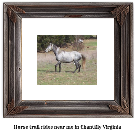 horse trail rides near me in Chantilly, Virginia